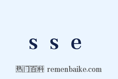 sse是什么意思的图片